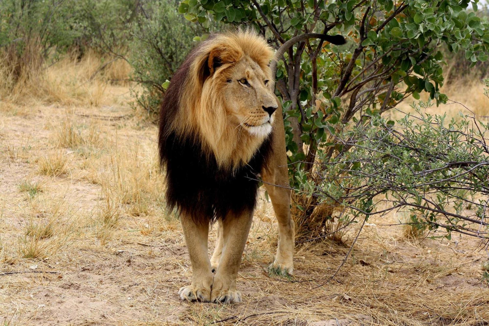 Grassland Safari Lodge Ghanzi المظهر الخارجي الصورة